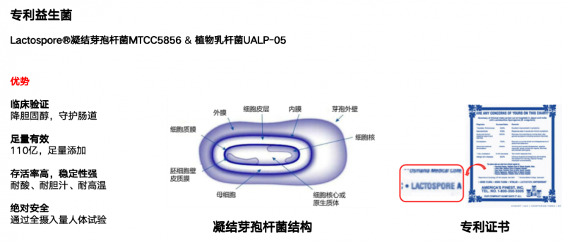 肝癌风险可逆转？LAIFE「乐轻肝」揭秘预防之道！