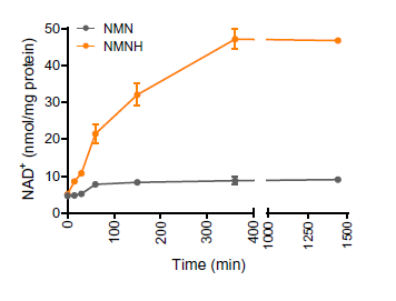 重磅：吉瑞维第三代NAD+提升技术NMNH强势落地，NMN或将成过去式