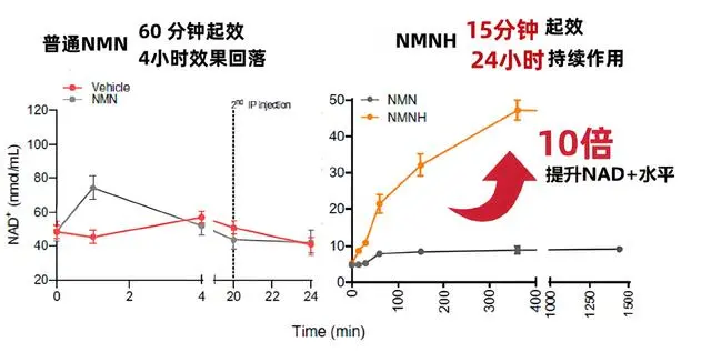 国际期刊《ACS》起底吉瑞维新型抗衰分子NMNH