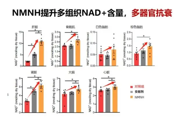 国际期刊《ACS》起底吉瑞维新型抗衰分子NMNH