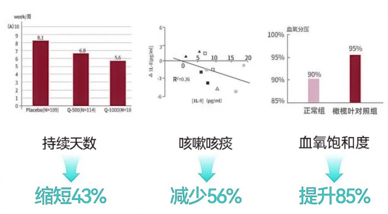 慢阻肺成为第三大致死因，Granver吉清肺打造药食同源护肺新标准