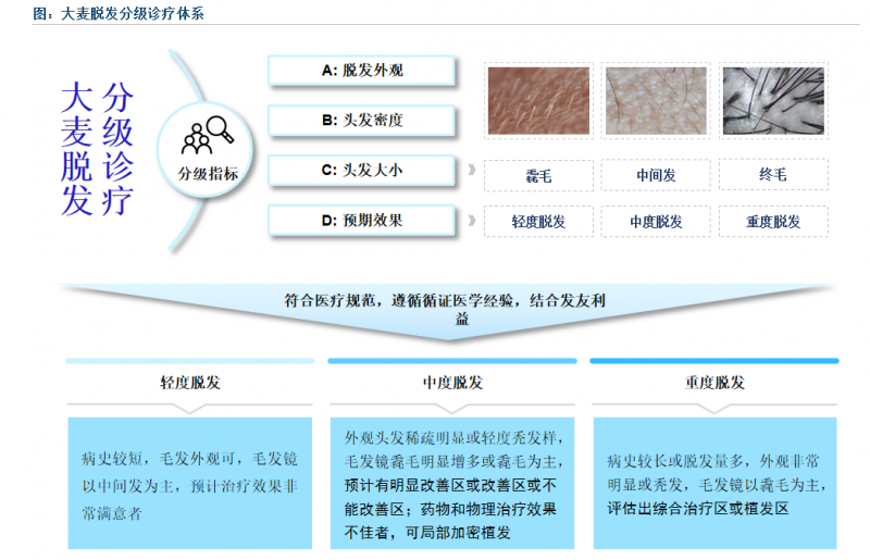 大麦微针植发以重塑毛发之美为企业使命 开启脱发分级诊疗新时代